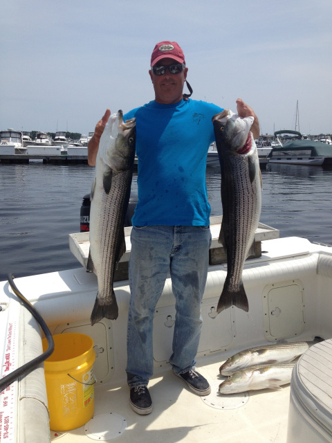 Striped bass caught on Obsessed Charters